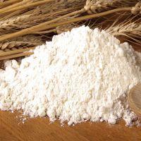 Grade Aa Ukraine Wheat Flour