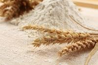 Top Quality Ukraine Wheat Flour