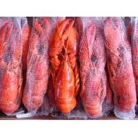 Whole Cooked Frozen Lobster