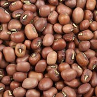 moth beans