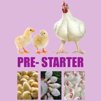 Pre-Starter Poultry Feed