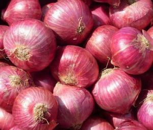 fresh onions