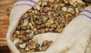 Cashew