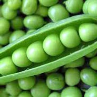 Fresh Green Peas