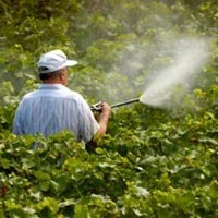 Bio Pesticides