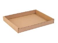 Cardboard Tray