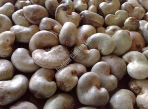 Raw Cashew Nuts