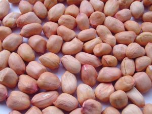 raw peanuts