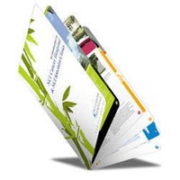 brochure printing services