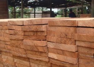 teak wood logs, Brand Name : Tectona, Packaging Type : brown