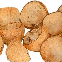 coconut shells