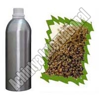 Celery Seeds Oil