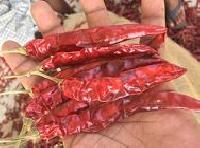 S-273 Dried Red Chilli