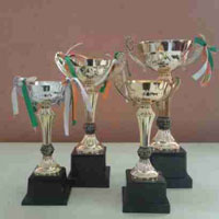 Brass Award Cups