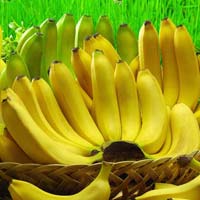 Fresh Robusta Banana