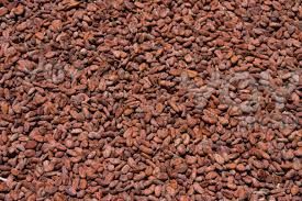 cocoa beans,  Packaging Size : 5-25kg