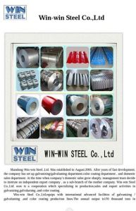 Supply Garment Accessories