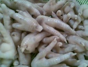 Pet and Farming Animals