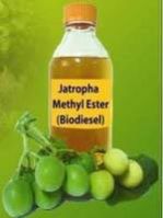 Refined & Crude Jatropha Oil For Biodiesel, Refined Jatroph