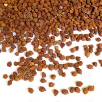 Brown Chickpeas