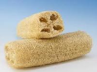 Loofah sponge