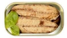 Canned Mackerel