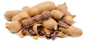 tamarind, Packaging Type : BROWN