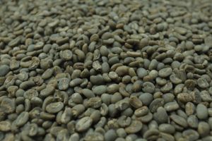 Green Coffee Beans