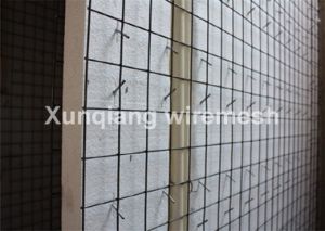 Wire Mesh Screen