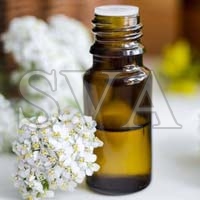 Yarrow Yarrow Oil