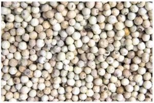 White Pepper
