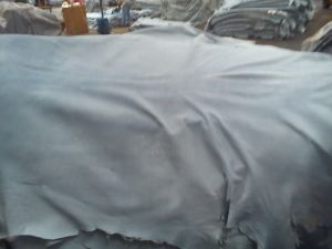 Wet Salted Sheep Skin