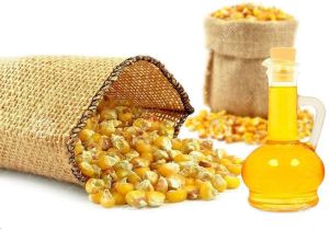 refined corn oil,  Shelf Life : 1 Year