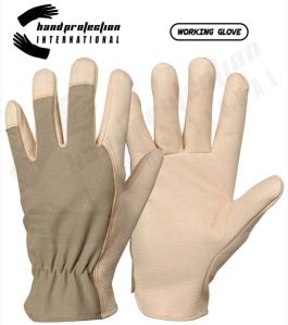 Cotton Working Gloves