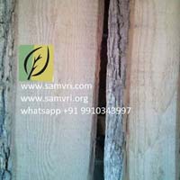 White Ash Timber