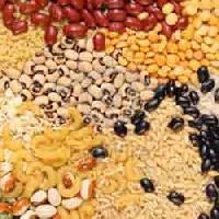 food grain pulses