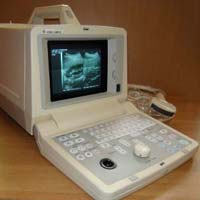 GE Black & White Ultrasound Machine (LOGIQ 100 CL)