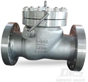 Swing Check Valves