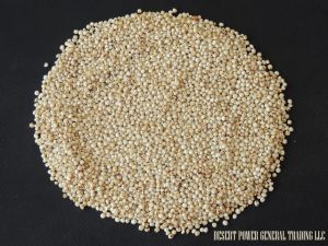 Sorghum Seeds,  Storage Instructions : Dry Place
