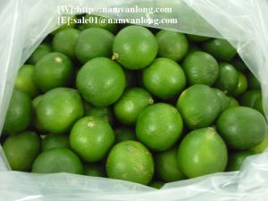 Seedless Lime