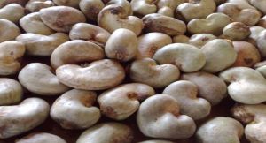 cashew nuts,  Packaging Type : Plastic Packet