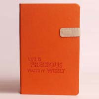 Classic Leather Diaries