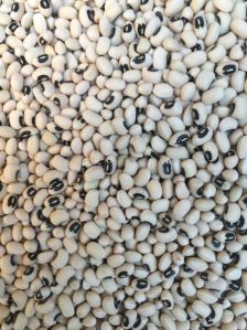 Black Eye Beans