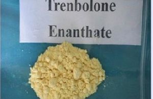 Estradiol Benzoate Pharmaceutical Intermediates