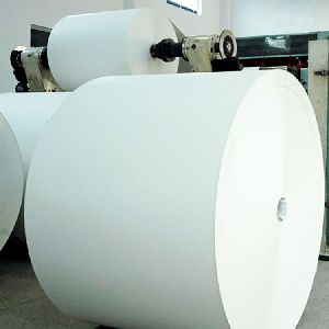 Paper & Paper Products