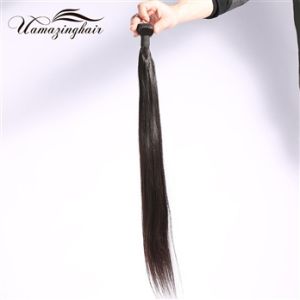 Grade 7a Brazilian Virgin Hair Straight Unprocessed