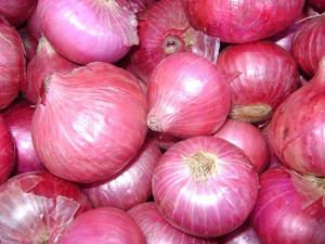 fresh red onion