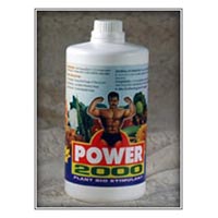 Power 2000 amino acids