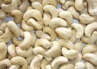 dry fruits cashew