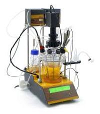 laboratory bioreactor